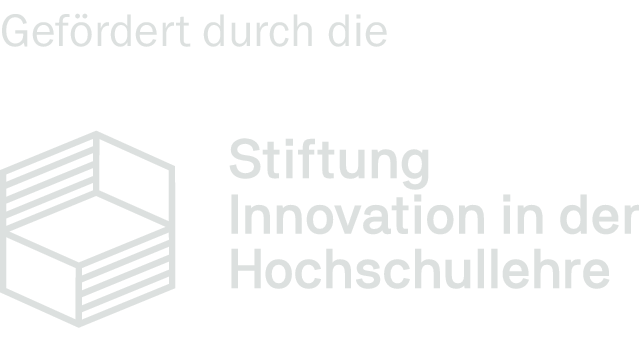 Logo Stiftung Innovation in der Hochschullehre